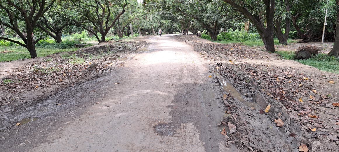 पहाड़खंड-बौरमा मुख्य मार्ग अधूरा, ग्रामीणों को भारी परेशानी