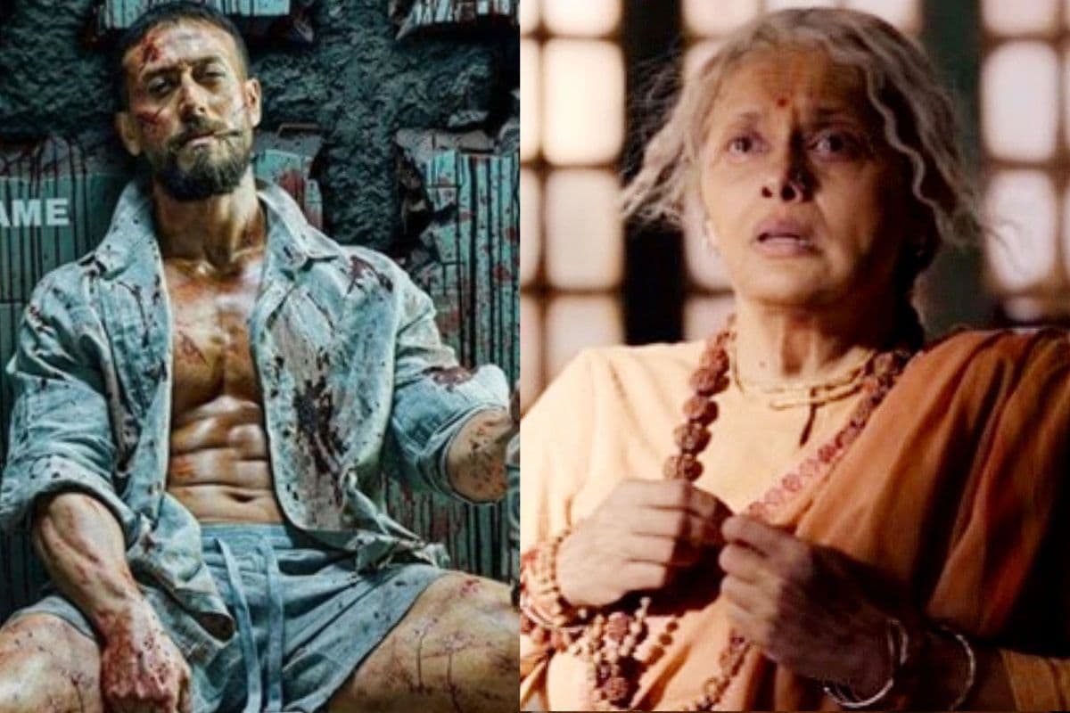 Baaghi 4 Vs The Bengal Files Box Office Collection Day 2