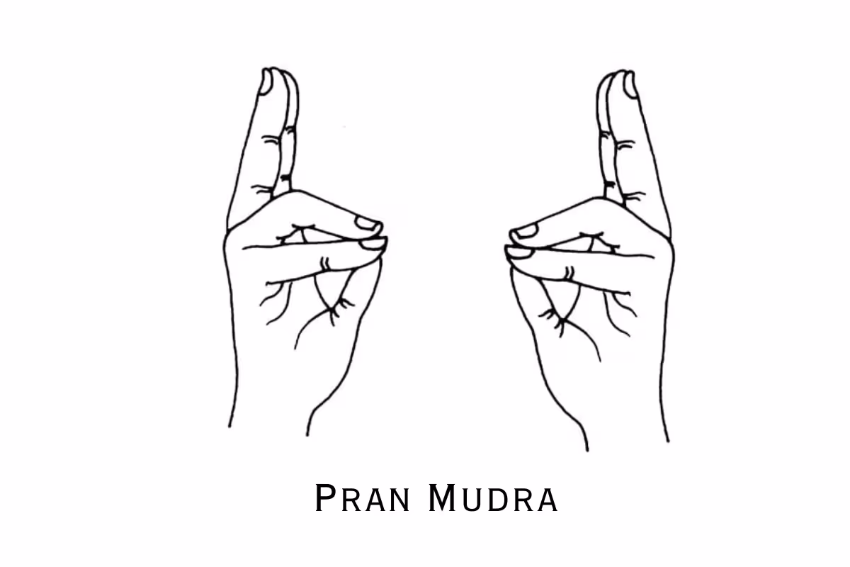 Pran Mudra