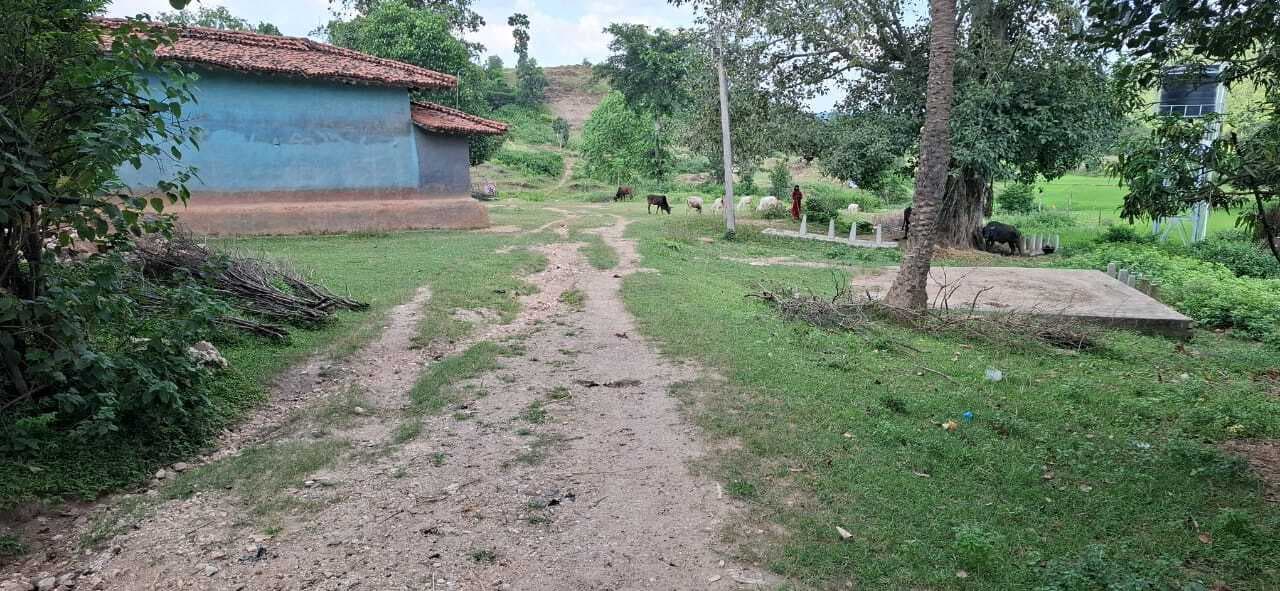 Giridih News: जेवड़ा गांव जाने के लिए नहीं है सड़क, स्वास्थ्य व पानी की भी सुविधा नहीं