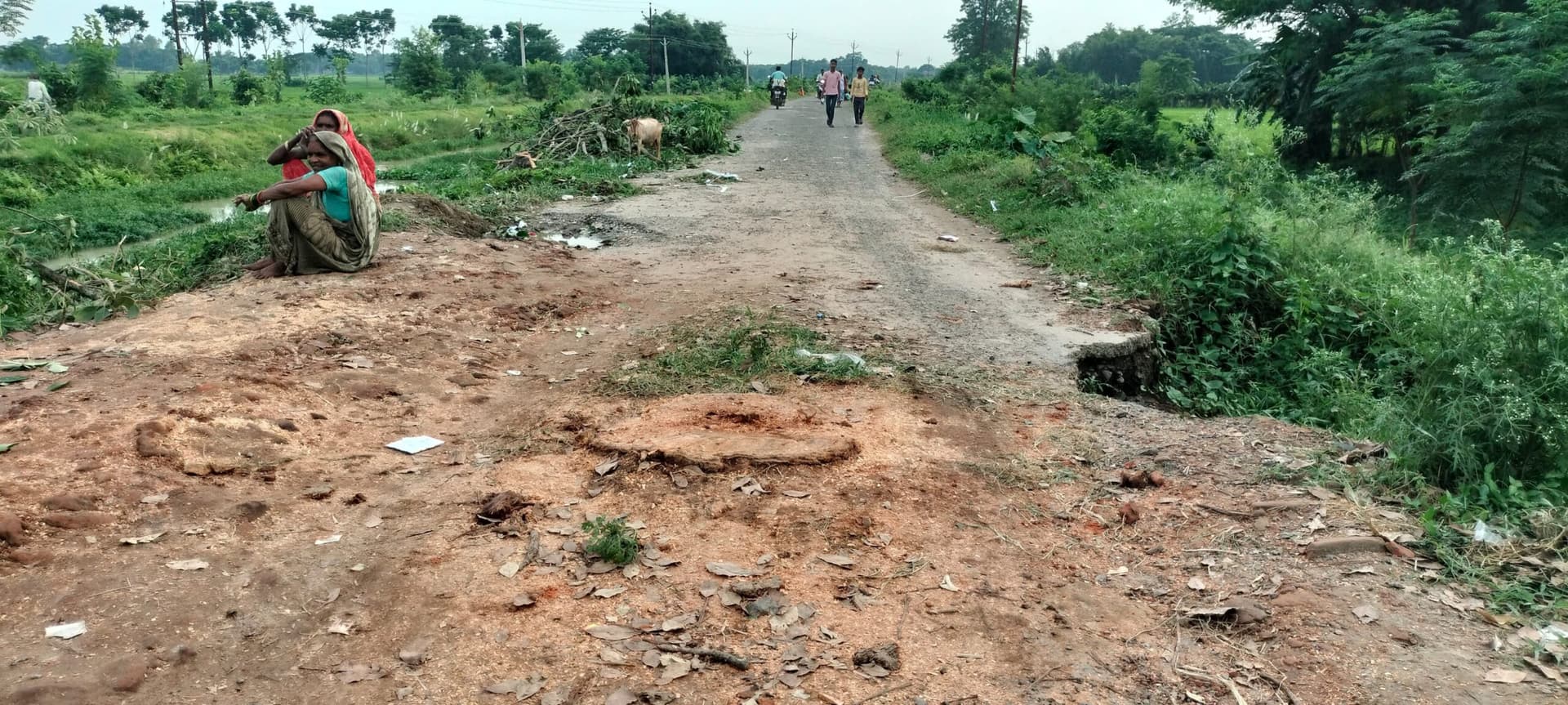 सड़क पर लगे पेड़ को काटा, आवागमन में होगी सुविधा