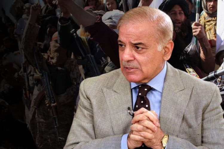 अमेरिकी ड्रोन का कबूलनामा! तालिबान-टीटीपी के जाल में फंसा पाकिस्तान, अब वॉशिंगटन की याद में बौखलाया इस्लामाबाद