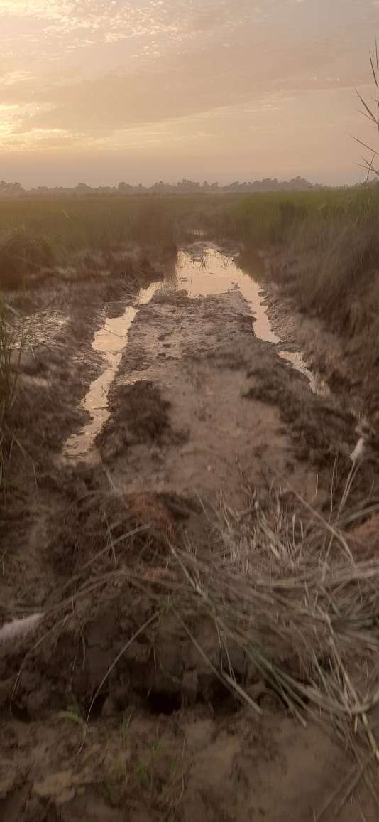 Sitamarhi : छठ घाटों की सफाई व सड़क मरम्मत में प्रशासन की रूचि नहीं, व्रती चिंतित