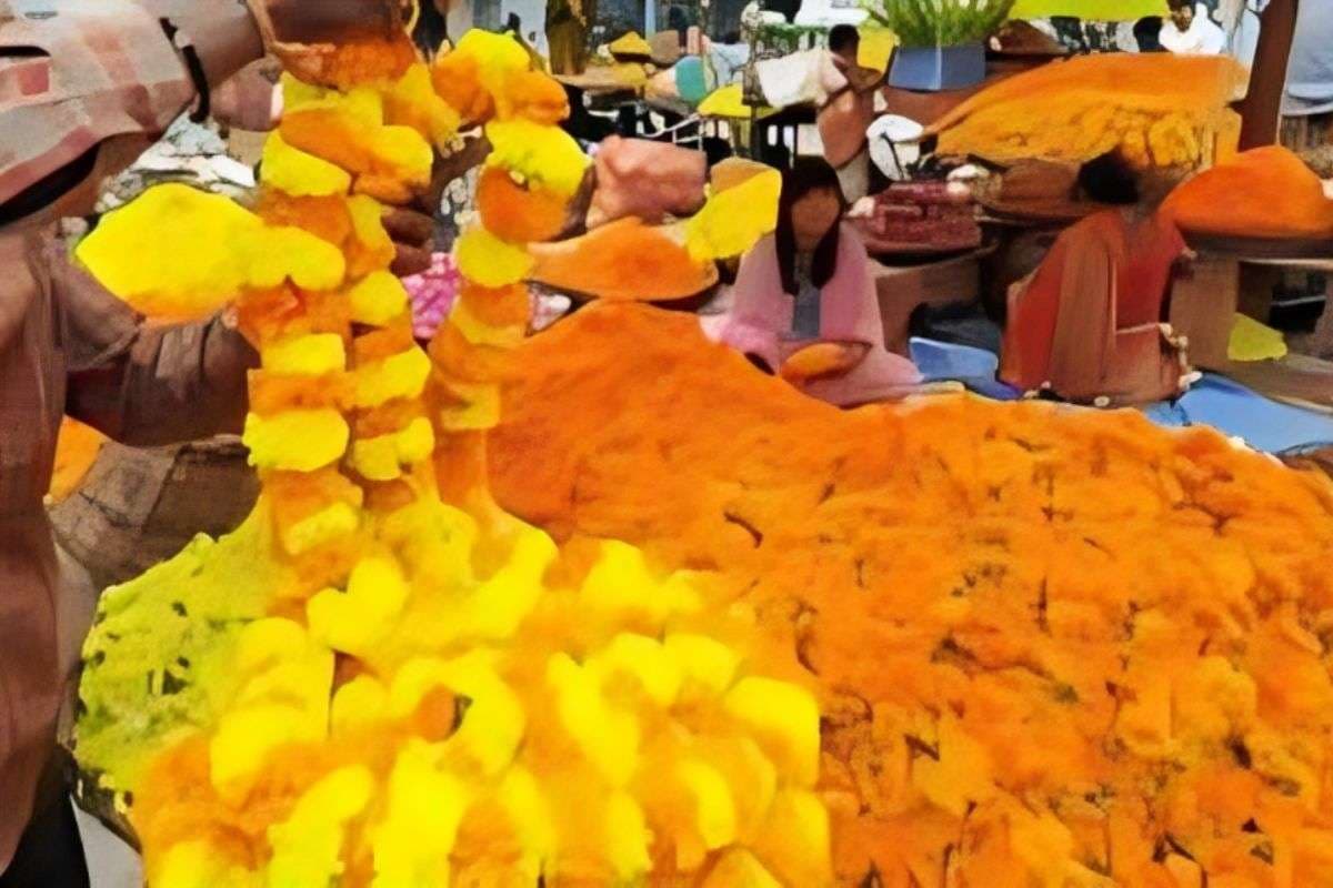 'flower market' flourished in the Bihar elections.