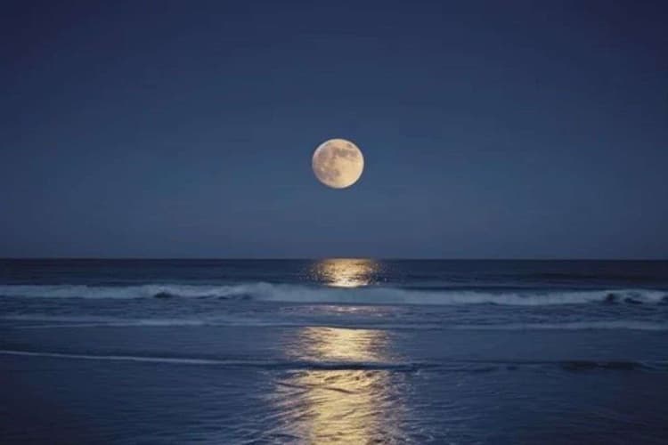 Margashirsha Purnima 2025: मार्गशीर्ष पूर्णिमा का धार्मिक महत्व, जानें बत्तीसी पूर्णिमा से इसका संबंध