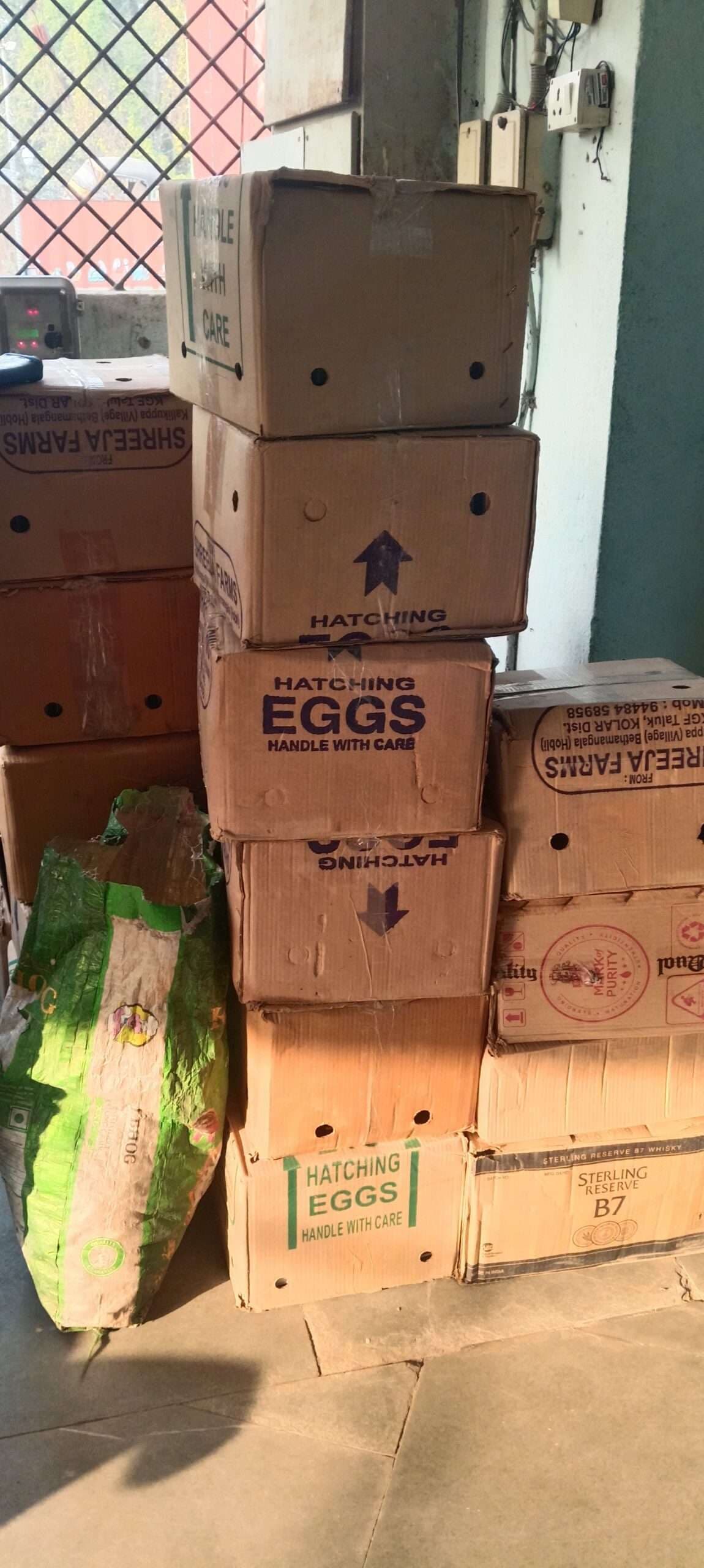 बाराडीह से भारी मात्रा में विदेशी शराब जब्त