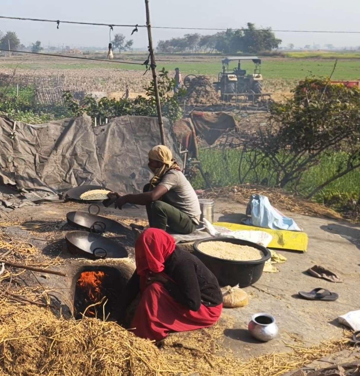विलुप्ति के कगार पर घुंसार, संक्रांति पर सालभर के लिए इकट्ठा हो जाता है अनाज