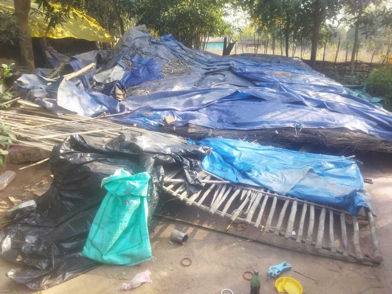 Chaibasa News : हाथी ने 4 घरों को तोड़ा, जान बचाकर भागे चारों परिवार