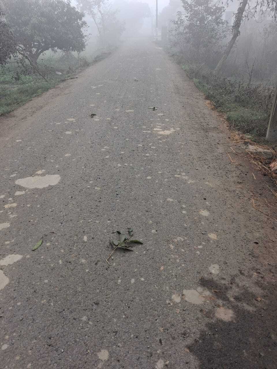 बनने के साथ उखड़ने लगी मलही से नारायणपुर दलित बस्ती की सड़क
