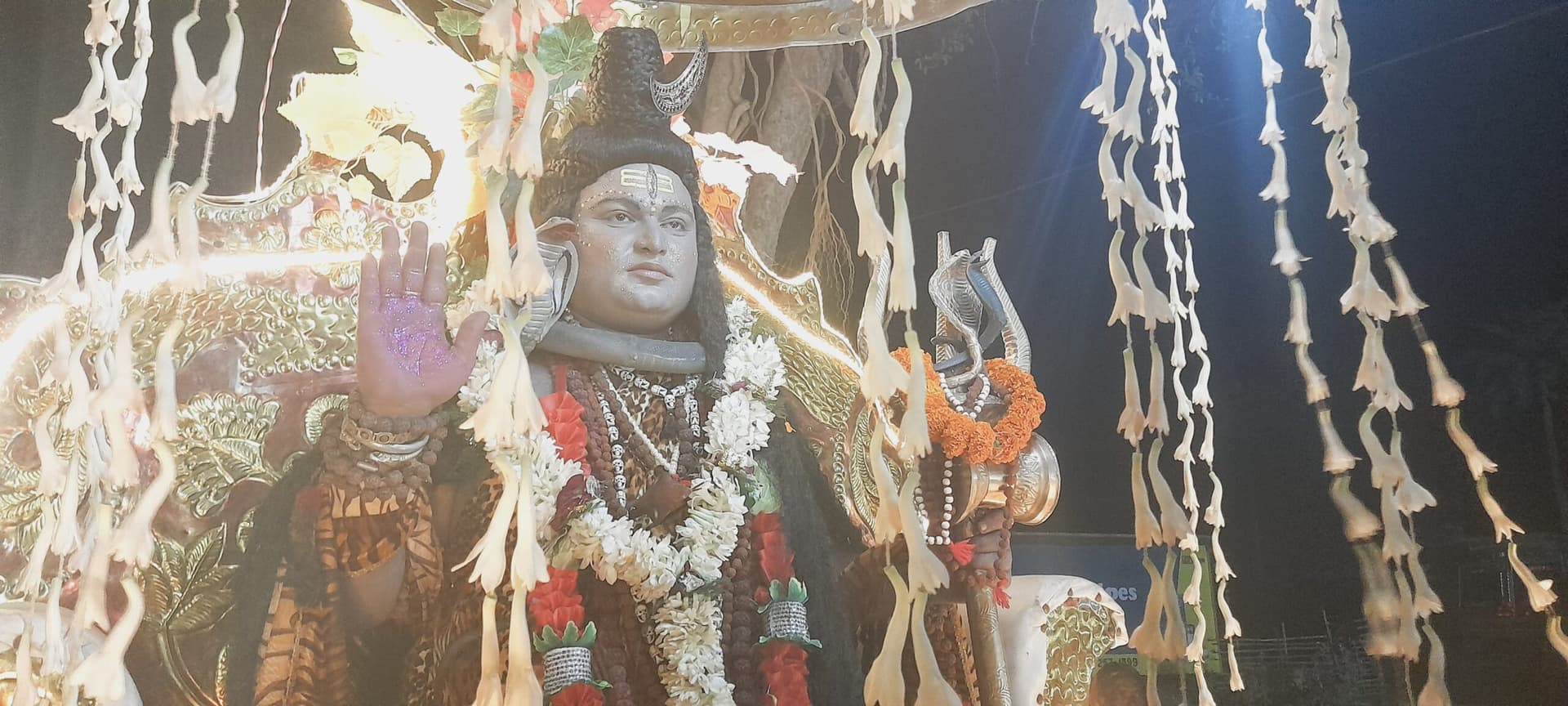 सारठ में धूमधाम से निकाली गयी शिव बारात