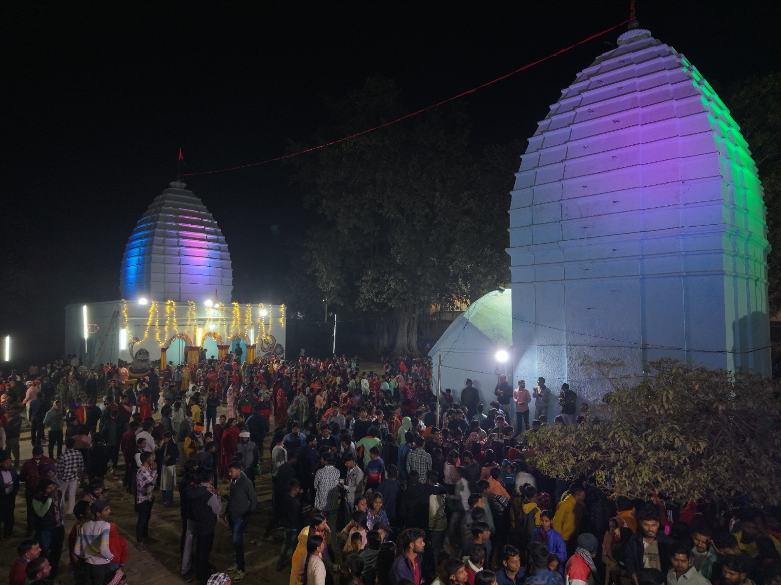 बाबा बूढ़ानाथ मंदिर समिति ने निकाली शिव की भव्य बारात