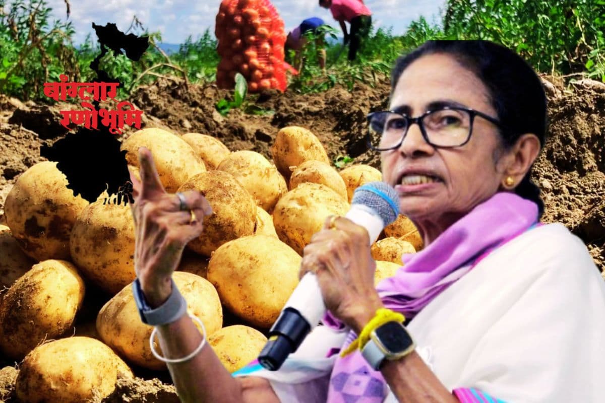 Potato Crisis in Bengal West Bengal Elections 2026 Mamata Banerjee TMC Potato Crisis in Bengal West Bengal Elections 2026 Mamata Banerjee TMC