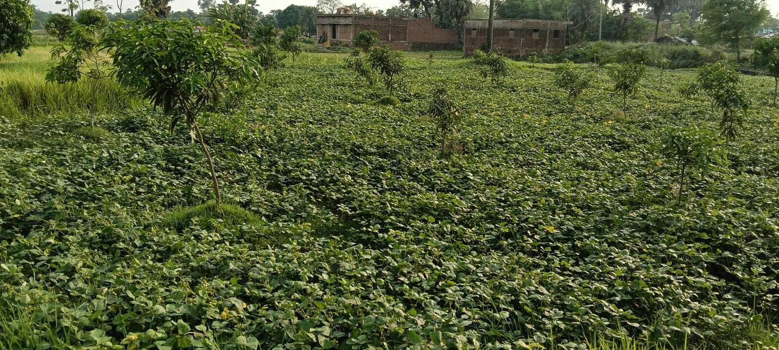 बारिश से मौसम हुआ सुहाना, गर्मी से लोगों को मिली राहत