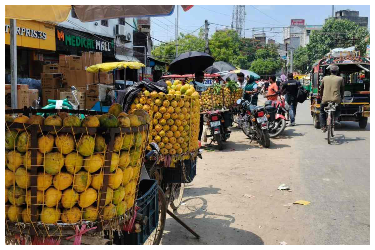 Bettiah News -narkatiaganj-west-champaran-zarda-sabuja-mango-market-demand-beats-bengal-himsagar Bettiah News -narkatiaganj-west-champaran-zarda-sabuja-mango-market-demand-beats-bengal-himsagar