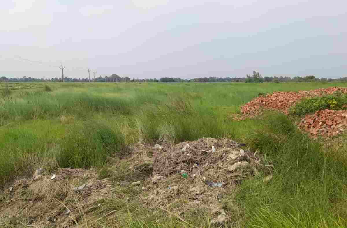 Madhubani News ladania-fertile-farmland-turning-barren-due-to-soil-cutting Madhubani News ladania-fertile-farmland-turning-barren-due-to-soil-cutting