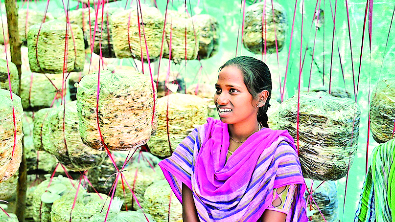 Rourkela News: आरएसपी की पहल से पर्श्वांचल क्षेत्रों में मशरूम की खेती से उद्यमिता को मिला बढ़ावा Rourkela News: आरएसपी की पहल से पर्श्वांचल क्षेत्रों में मशरूम की खेती से उद्यमिता को मिला बढ़ावा