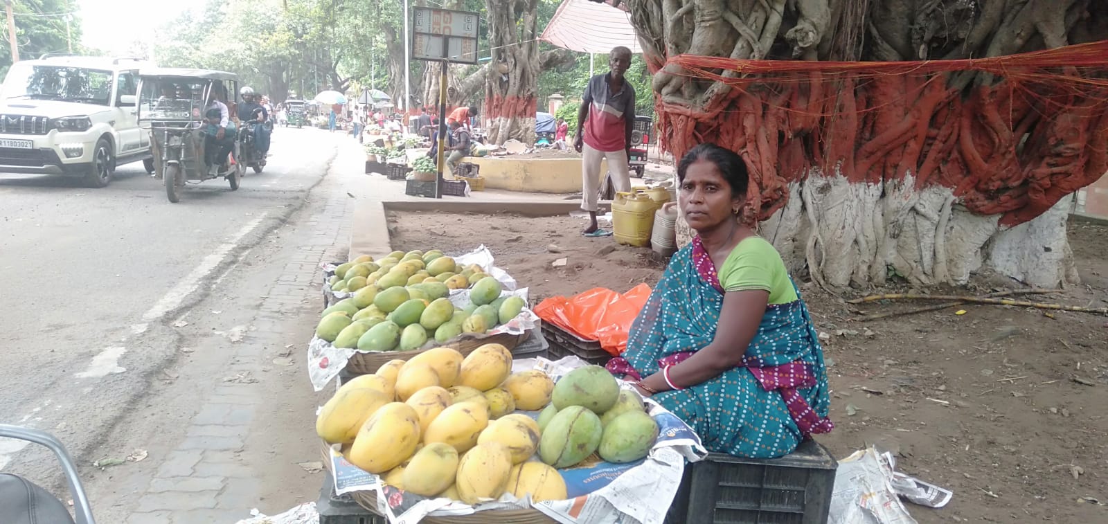 जर्दालू का सीजन खत्म, दूधिया मालदह भी हुआ महंगा, अब चौसा-आम्रपाली से महक रहा भागलपुर का बाजार