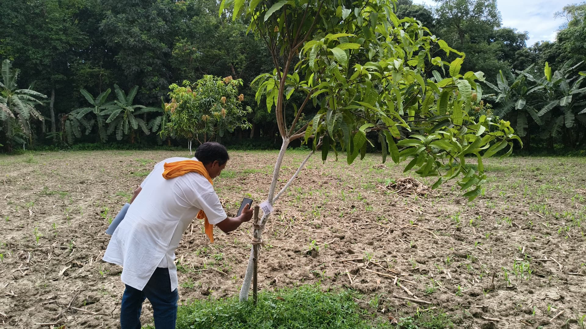 भागलपुर में 100 एकड़ में बन रहा बिहार का पहला हाईटेक क्लाइमेट-रेजिलिएंट फार्म, QR Code और GIS से होगी हर पेड़ की निगरानी