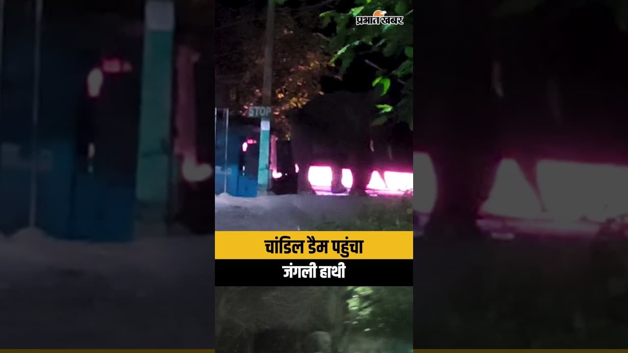 Jharkhand : रात में Chandil Dam पहुंचा झुंड से बिछड़ा हाथी, देखते ही दुकानदारों में मचा हड़कंप