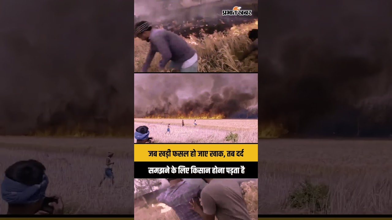 जब खड़ी फसल हो जाए खाक, तब दर्द समझने के लिए किसान होना पड़ता है