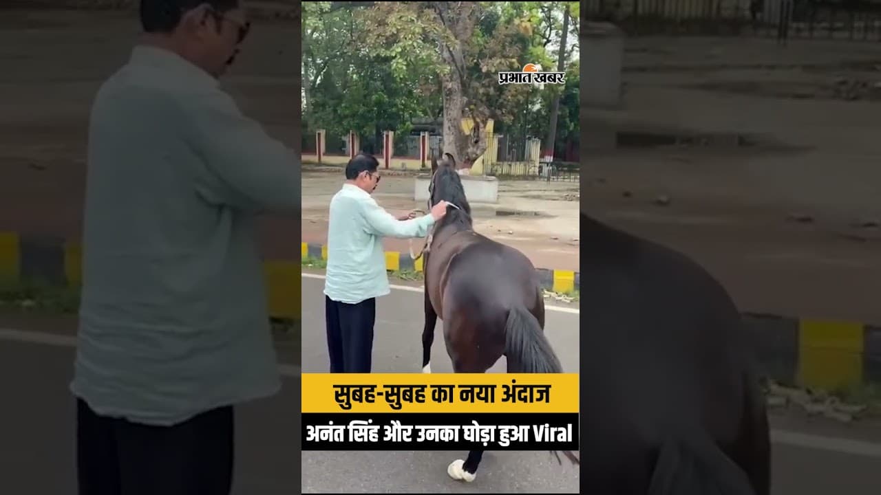 Viral video: सुबह-सुबह क्या कर रहे थे Anant Singh? घोड़े संग VIDEO वायरल...