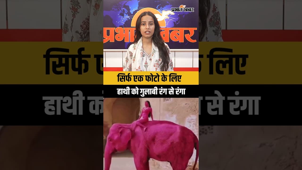 Jaipur Pink Elephant Case: फोटोशूट के लिए हाथी को गुलाबी रंग से रंगा, जयपुर में मचा बवाल