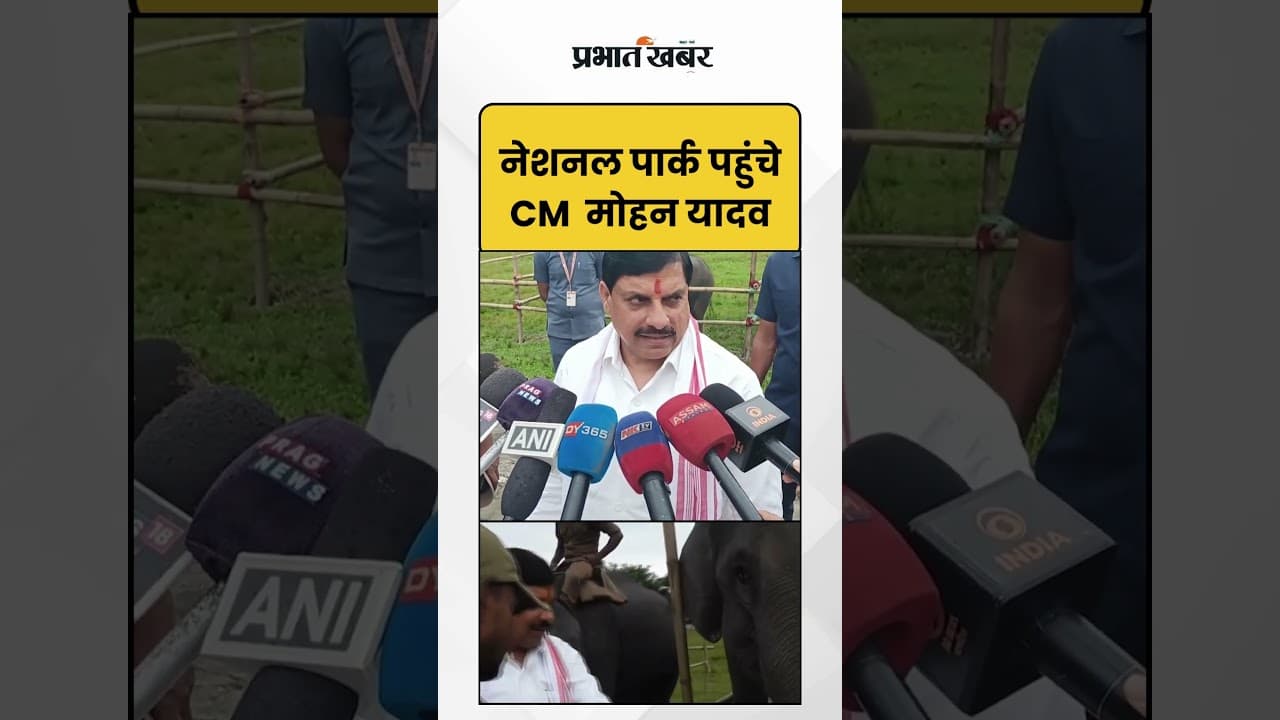 National Park पहुंचे CM Mohan Yadav | Kaziranga National Park | Shorts