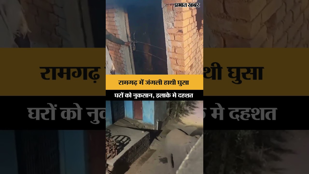 Ramgarh में जंगली हाथी घुसा घरों को नुकसान, इलाके मे दहशत | Ranchi | Jharkhand News | Shorts