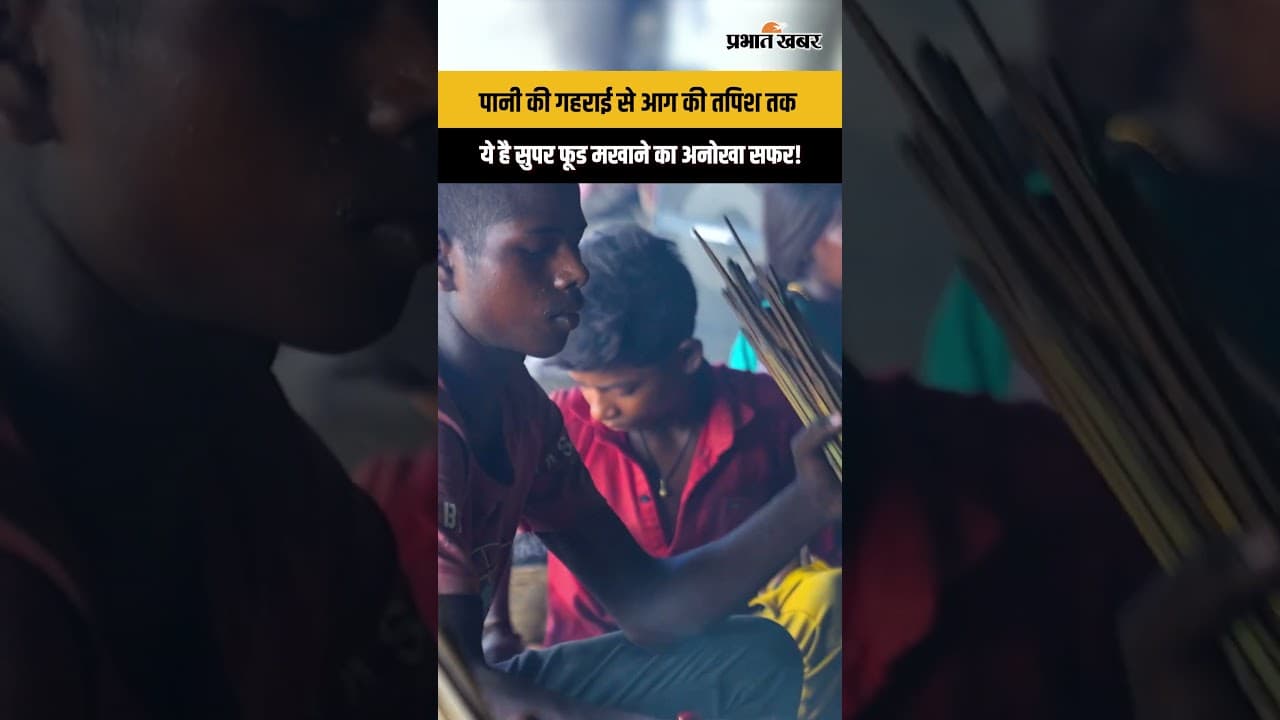 Makhana कैसे बनता है ? मेहनत और परंपरा की कहानी