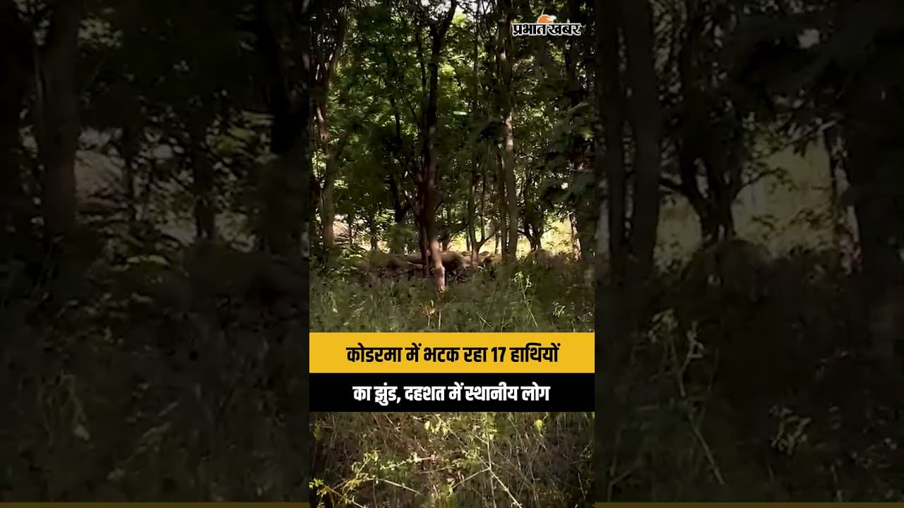 Tune up for latest news on Prabhat Khabar