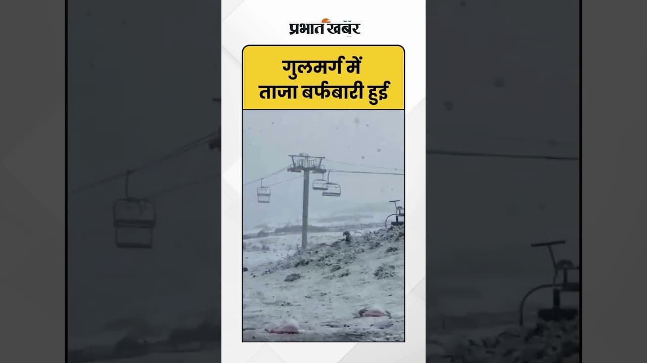 Gulmarg Snowfal गुलमर्ग में ताजा बर्फबारी | Kashmir Winters | Shorts