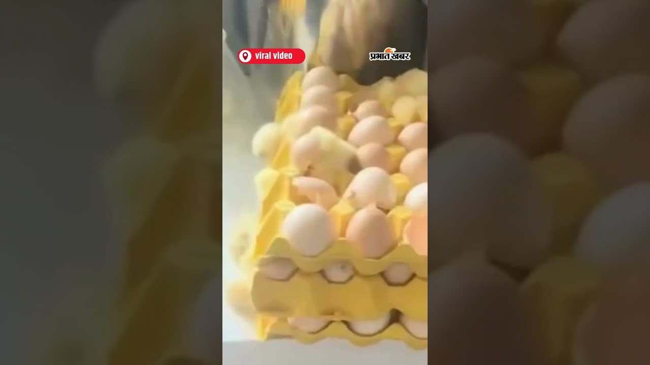 Viral Video : घर लौटी तो Eggs से निकल आए दर्जनों चूजे | Shorts | Prabhat Khabar | Hindi News