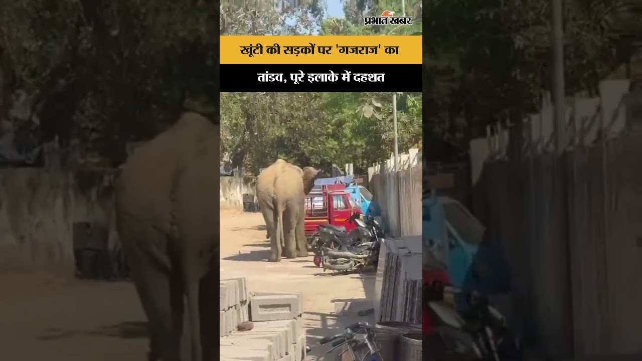 Khunti की सड़कों पर 'गजराज' का तांडव, पूरे इलाके में दहशत | Khunti | Jharkhand