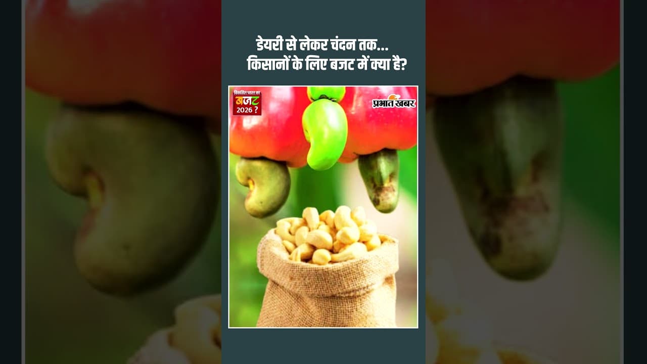 Budget 2026: अब किसान उगाएंगे चंदन और काजू, बजट में हुआ खेती का कायाकल्प