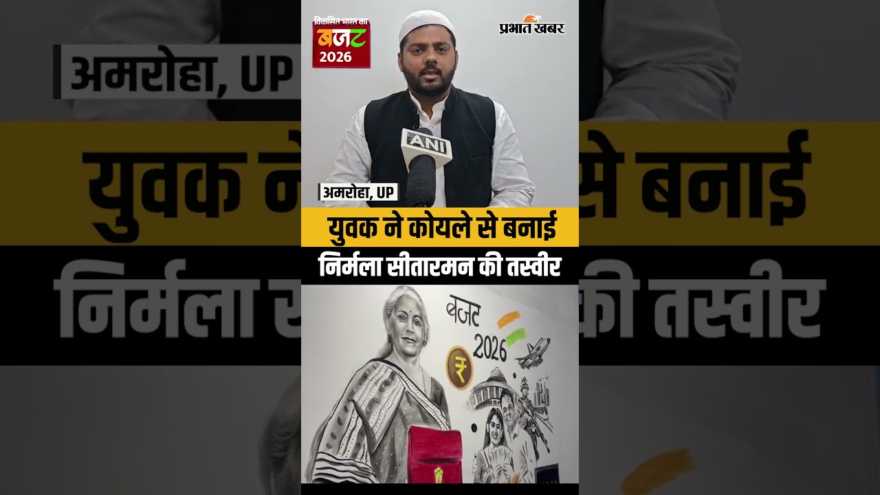 Union Budget 2026 से पहले Artist ने निर्मला सीतारमण का लकड़ी के कोयले से बनाया स्केच