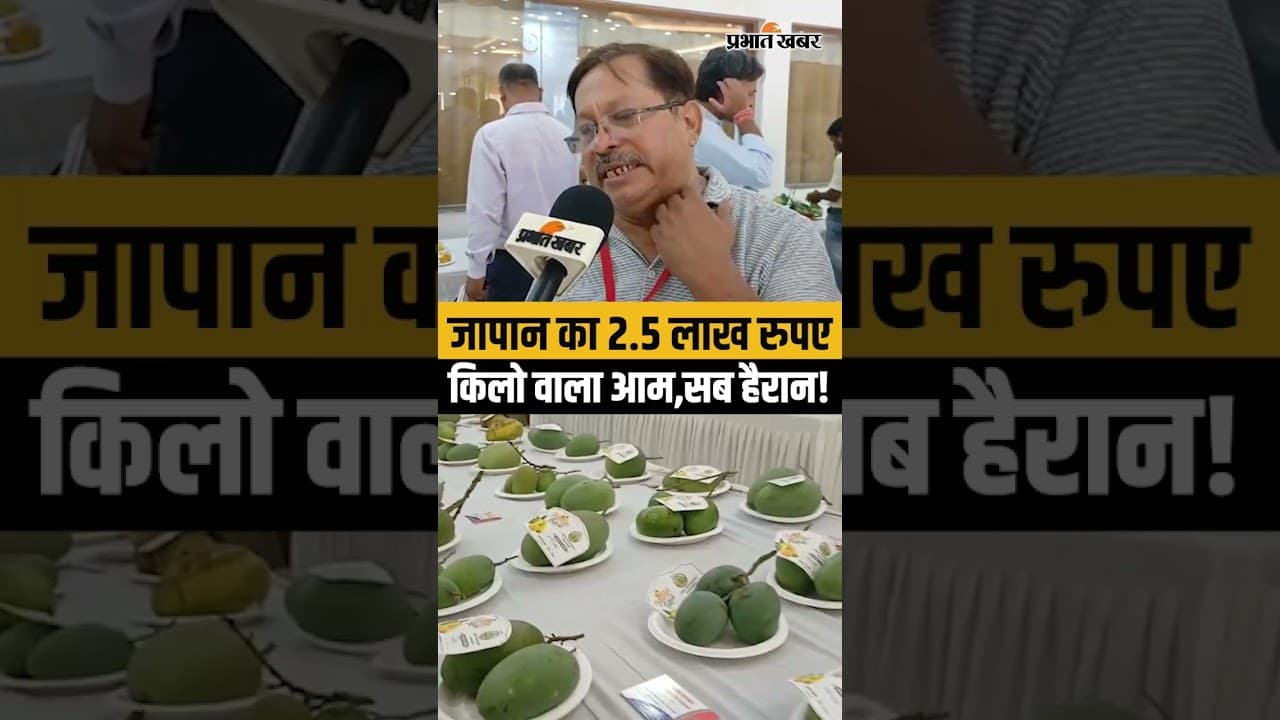Japan में 2.5 लाख रुपए किलो बिकने वाला Mango,देखने वालों की लगी भीड़,कैसा है?| Bihar News