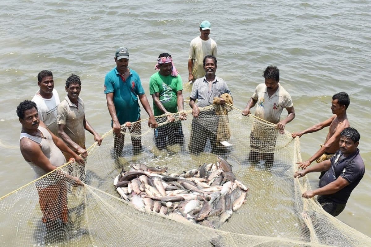 Bihar Fish Farming: बिहार के मछली पालकों की बड़ी टेंशन सरकार ने कर दी खत्म, इतने लाख रुपये की मिलेगी मदद