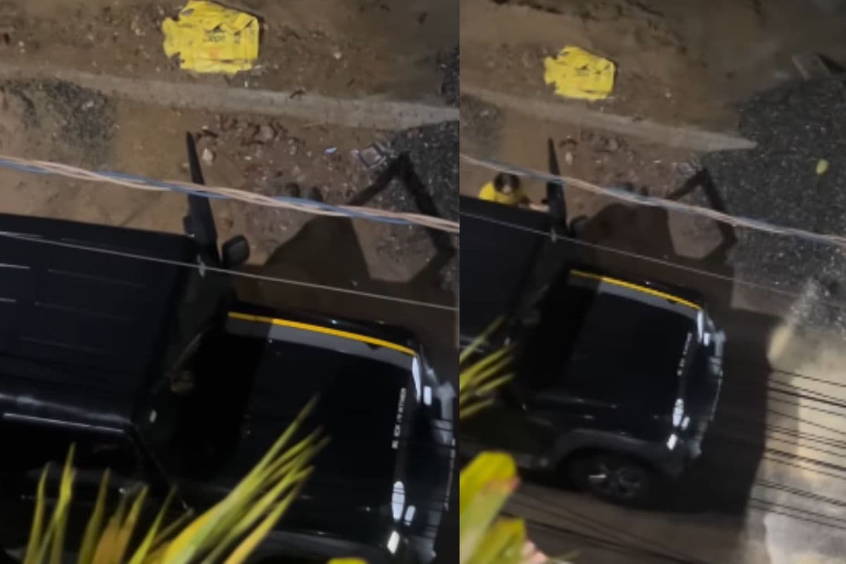 Viral Video: THAR से ऑर्डर पहुंचाने आया Blinkit डिलीवरी पार्टनर, रईसी देख कस्टमर के उड़े होश