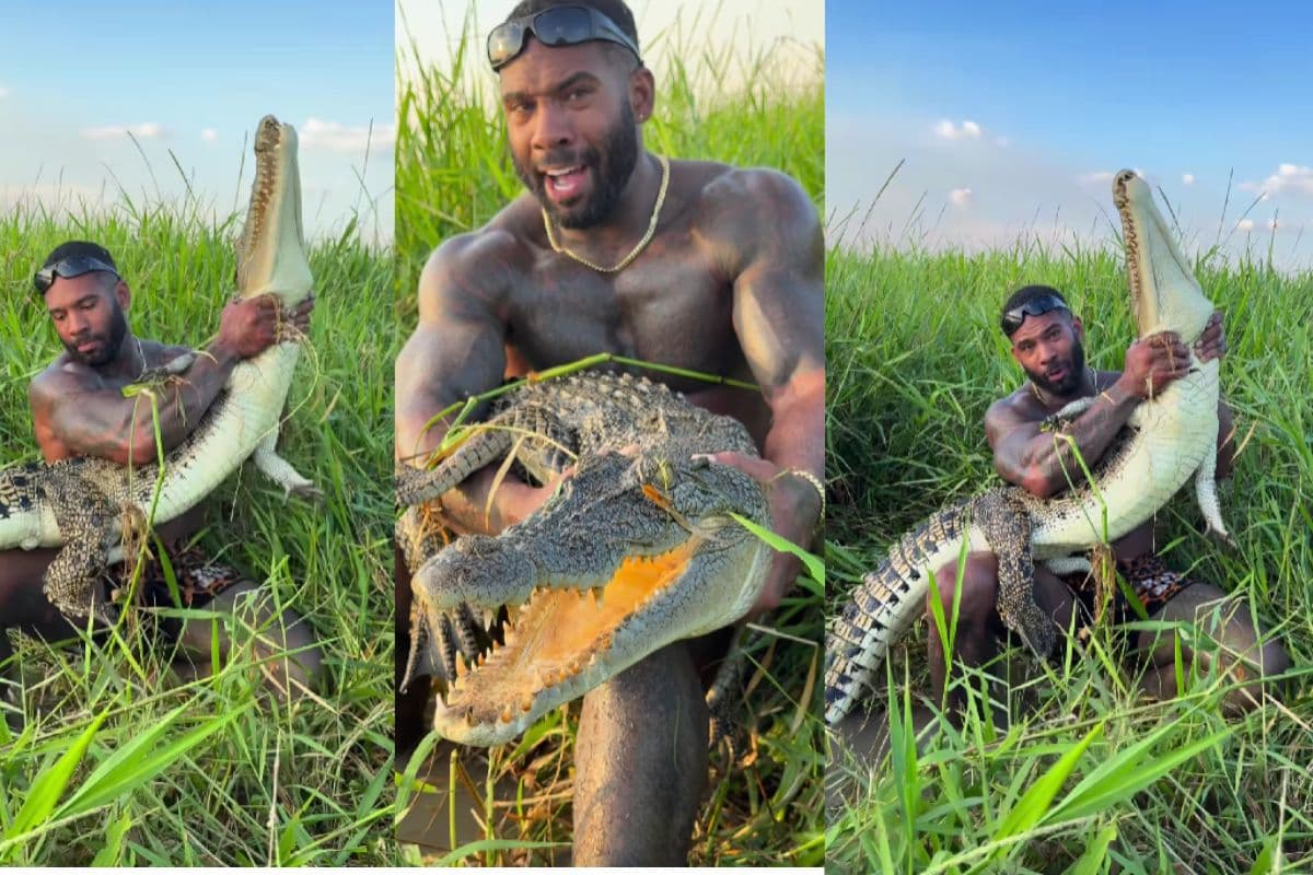 Viral Video: मगरमच्छ पर झपटा यह शख्स, हाथों से पकड़ा जबड़ा, वीडियो देख खड़े हो जायेंगे रोंगटे