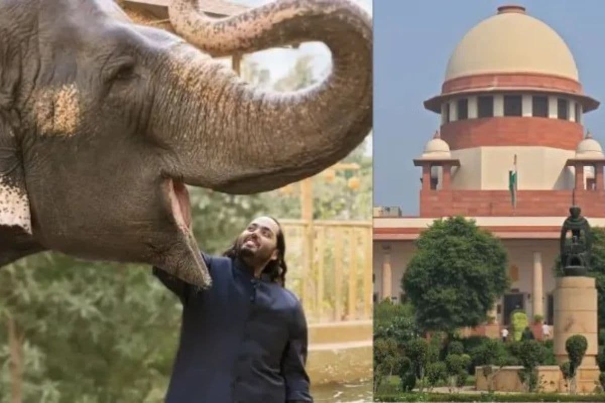 Vantara SIT Report: सुप्रीम कोर्ट की SIT रिपोर्ट में वंतारा को बड़ी राहत, क्लीन चिट, कहा- नियमों का हो रहा पालन