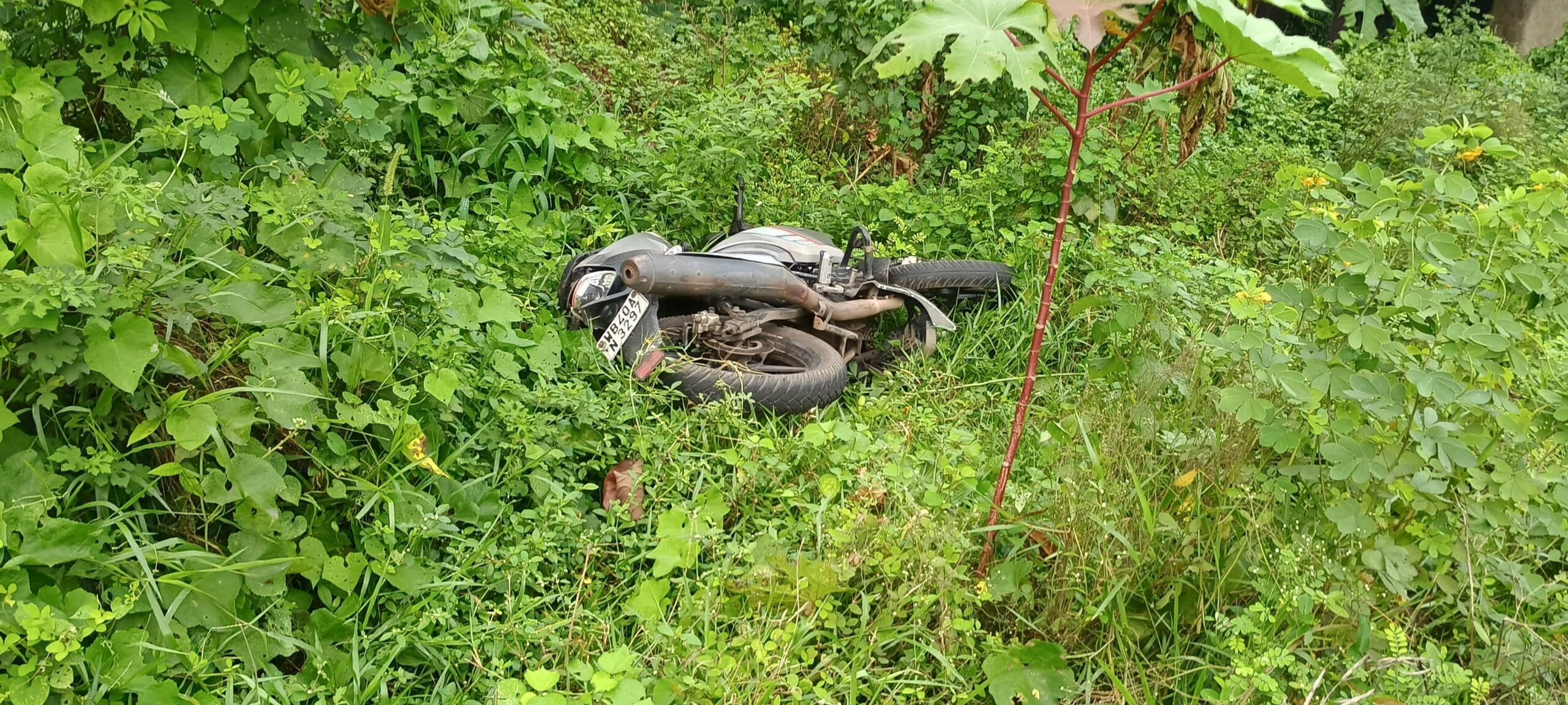 Dhanbad News: खुदिया पुल से नीचे खाई में गिरी बाइक, सेलकर्मी की मौत