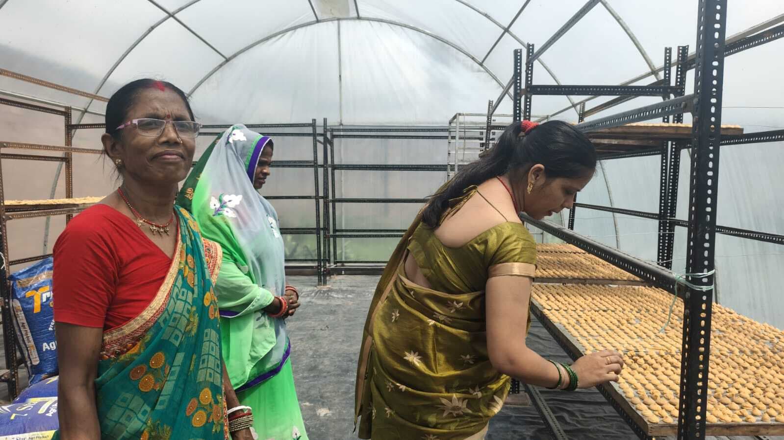 सोलर ड्रायर लगा उत्पाद रखती है सुरक्षित, बारिश व कीड़ों से सुरक्षित रहती है उत्पाद