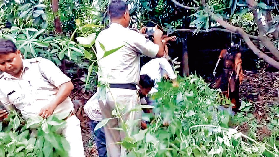 संदिग्ध हालात में महिला की मौत, बगीचे में मिला शव