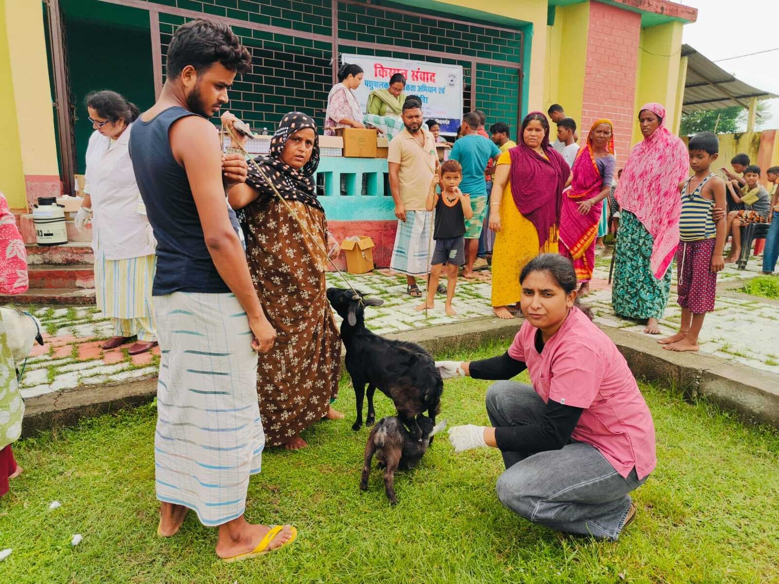 पशु चिकित्सा शिविर में 265 पशुओं का हुआ इलाज
