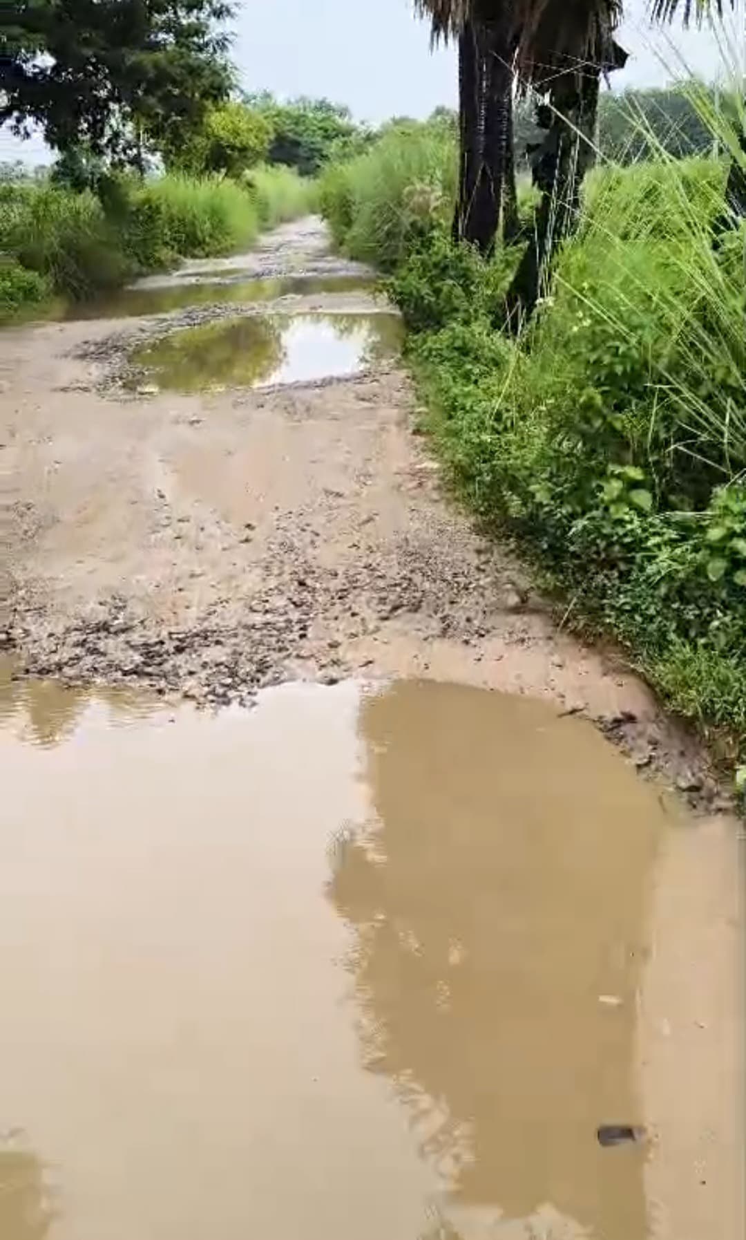 देवकुंड–हसपुरा मार्ग की दुर्दशा देख भड़के युवा, आंदोलन का ऐलान