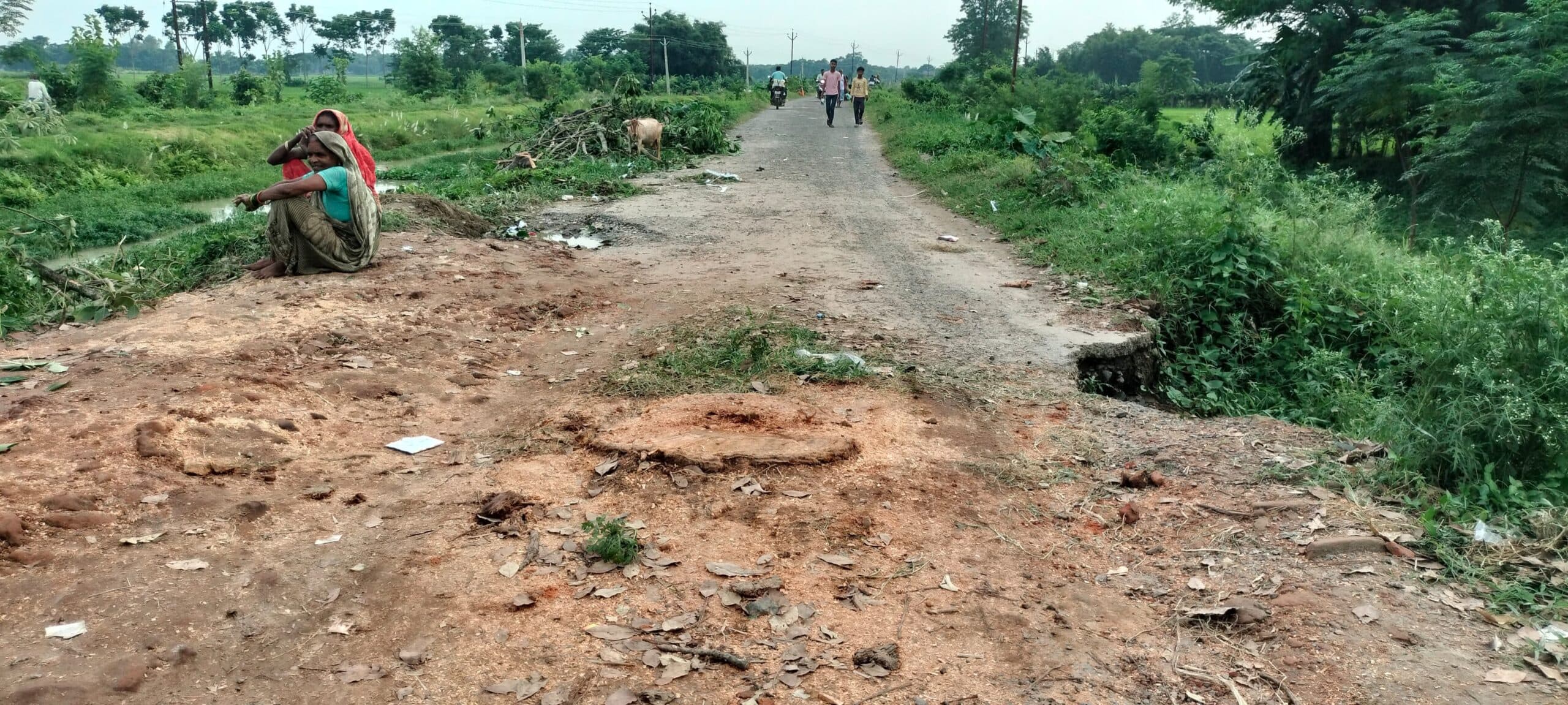 सड़क पर लगे पेड़ को काटा, आवागमन में होगी सुविधा