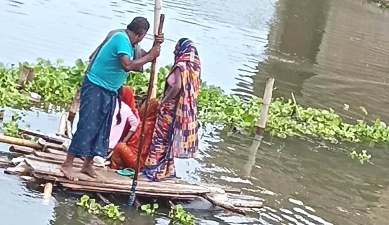 Bhagalpur news गंगा का रौद्र रूप : दियारा जलमग्न, चारे की किल्लत से परेशानी