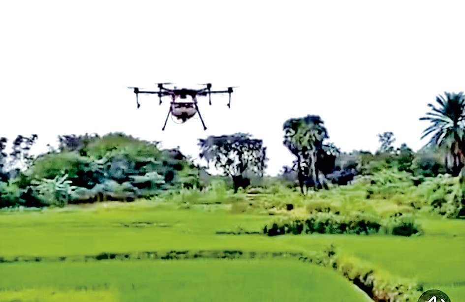 बांकुड़ा में ड्रोन से धान के खेतों में कीटनाशक छिड़काव