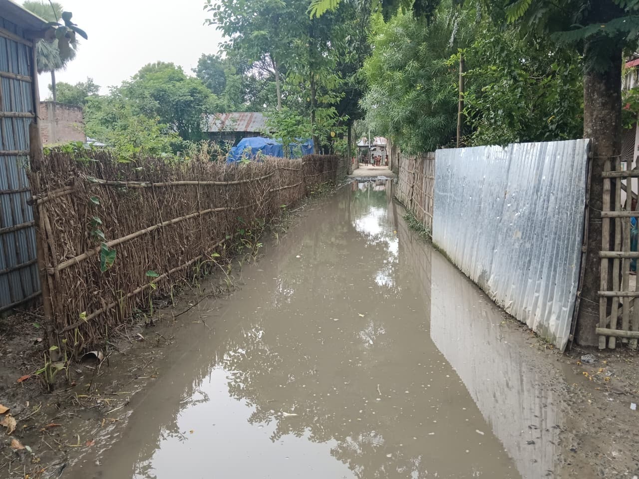 ग्रामीण सड़क में जलजमाव की समस्या से ग्रामीण परेशान