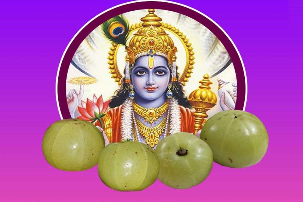 Akshaya Navami 2025: अक्षय नवमी पर अगर पूजा संभव न हो तो क्या करें